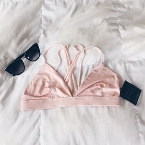 Acacia awapui in pale snake