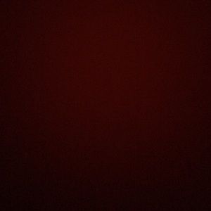 Meet your Posher, Ty