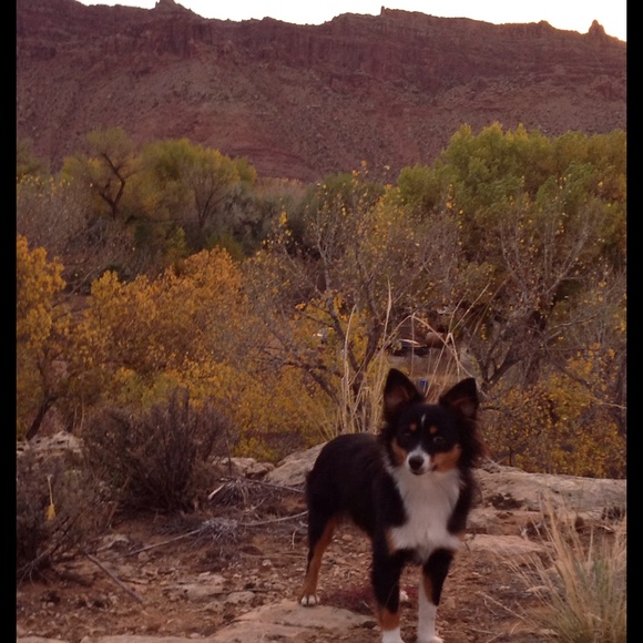 SU posher Jen, bf Matt, pup Gaby & new baby Kenny! - Picture 2 of 8