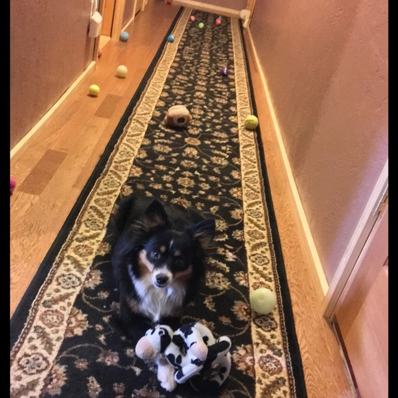 SU posher Jen, bf Matt, pup Gaby & new baby Kenny! - Picture 5 of 8