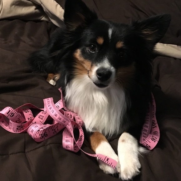 SU posher Jen, bf Matt, pup Gaby & new baby Kenny! - Picture 6 of 8