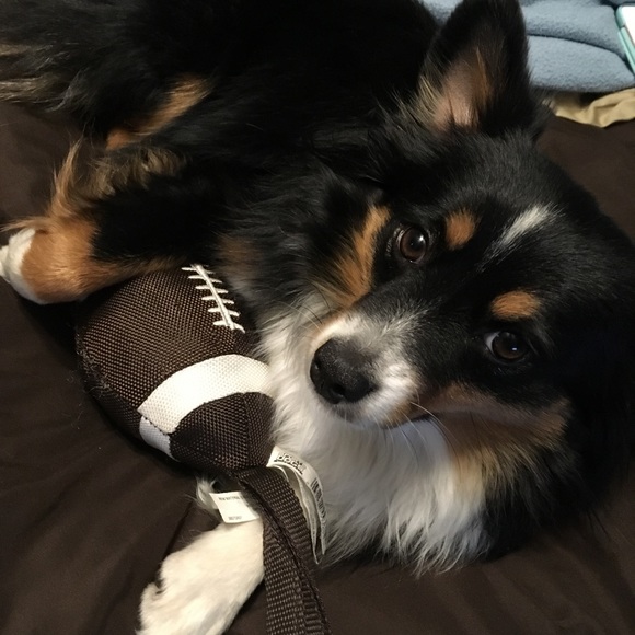 SU posher Jen, bf Matt, pup Gaby & new baby Kenny! - Picture 7 of 8