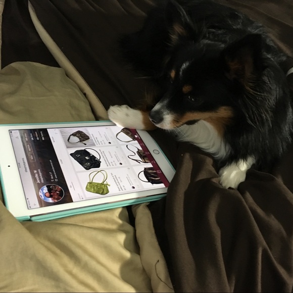 SU posher Jen, bf Matt, pup Gaby & new baby Kenny! - Picture 4 of 8