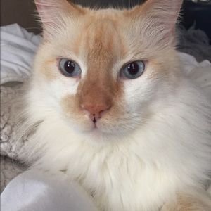 Meet your Posher, Elena