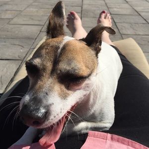 Meet your Posher, Allison