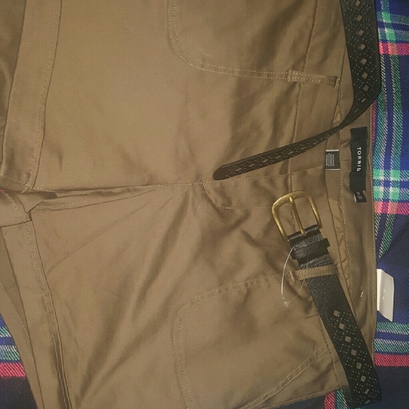 Torrid Shorts
