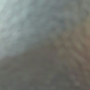 Meet your Posher, Venesha