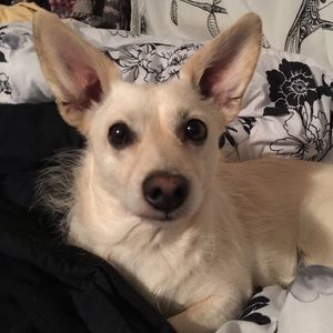 Meet your Posher, Revalynn