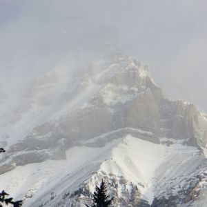 Meet your Posher, Luann