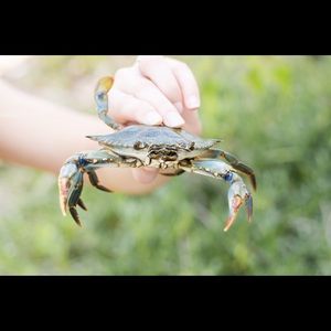 Meet your Posher, Kaity