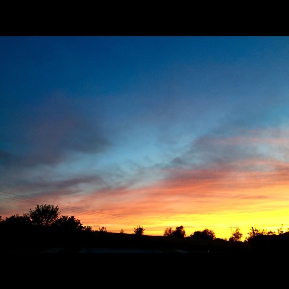 Meet your Posher, Mandy - Picture 1 of 1