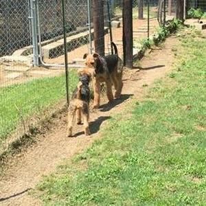 Meet your Posher, Jan