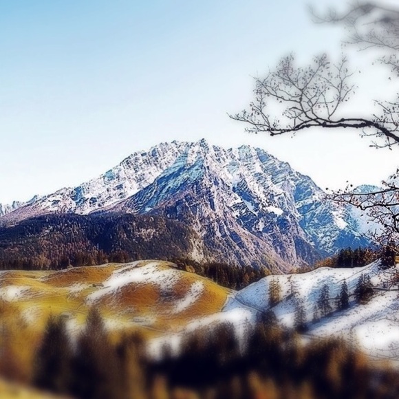 Meet your Posher, Audrey