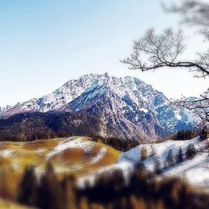 Meet your Posher, Audrey