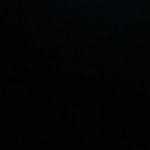 Meet your Posher, Millie