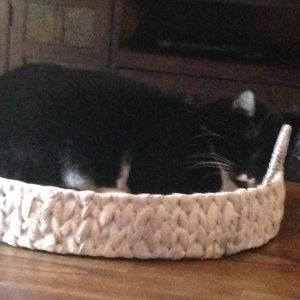 Meet your Posher, Debbie