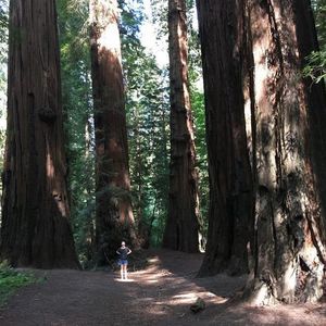 Meet your Posher, Ellen