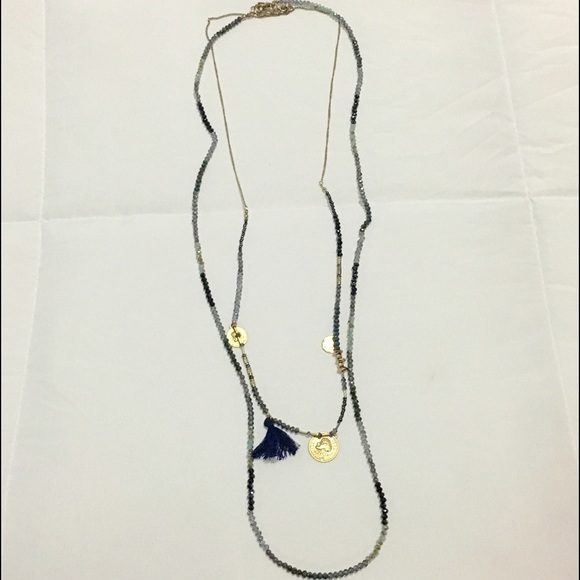 Double Long Layered Necklace - Picture 1 of 4