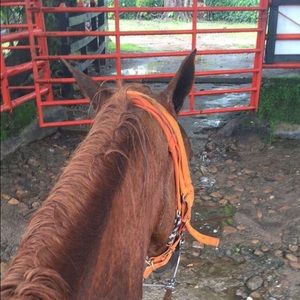 Meet your Posher, Monica