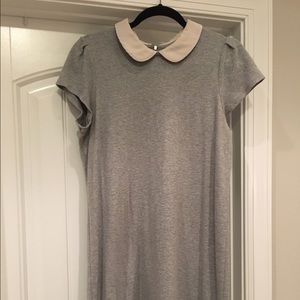 Ann Taylor LOFT Peter Pan Collar Dress - LARGE