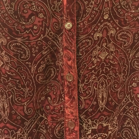 Velvet Blouse - Picture 2 of 3