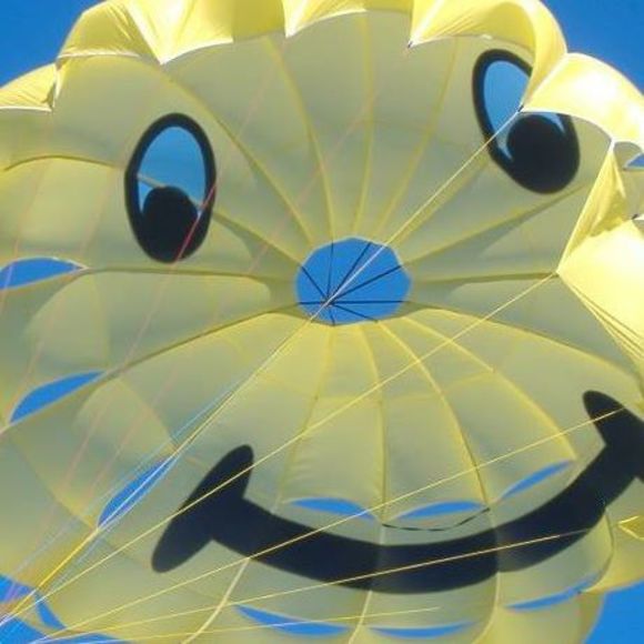 Meet your Posher, Tina - Picture 1 of 1