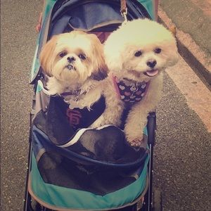 Meet your Posher, Gina