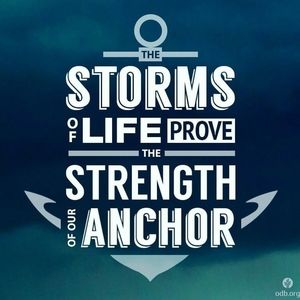 Meet your Posher, Isabel