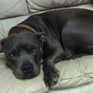 Meet your Posher, Terri