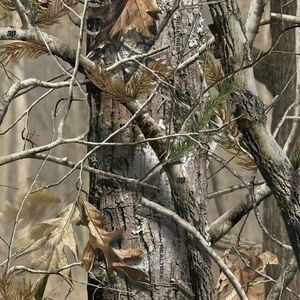 Meet your Posher, Sofia