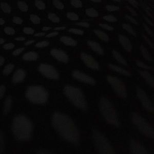 Meet your Posher, Latrice