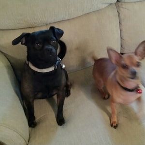 Meet your Posher, Sheila