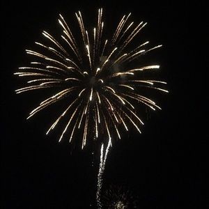 Meet your Posher, Cassidy