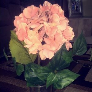 Meet your Posher, Shareen