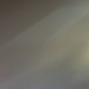 Meet your Posher, Charlotte