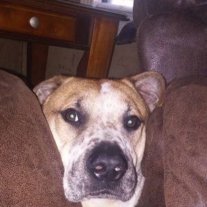 Meet your Posher, Charla