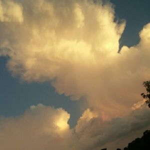 Meet your Posher, Tyanna