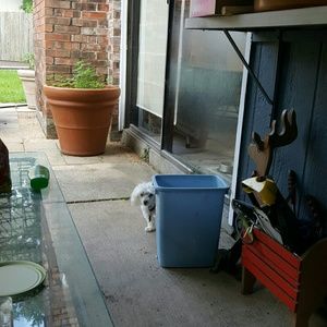 Meet your Posher, Joan