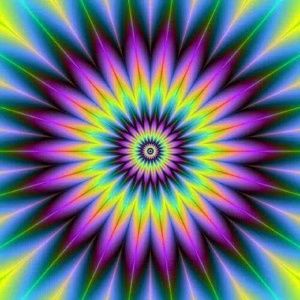 Meet your Posher, Jayme