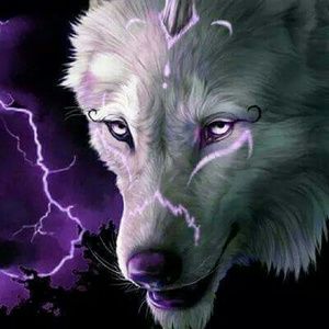 Meet your Posher, Ann