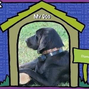 Meet your Posher, Sherry