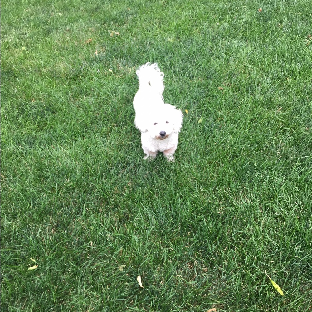 Meet your Posher, Adilene