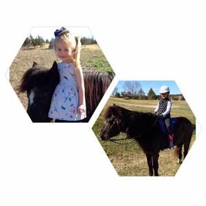 Meet your Posher, Ashlei