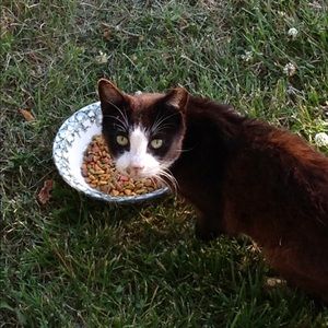 Meet your Posher, Tammy