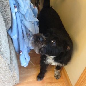 Meet your Posher, Jodee