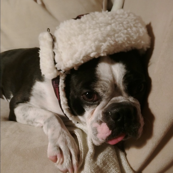 Meet your Posher, Do ro t hy - Picture 1 of 1