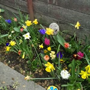 Meet your Posher, Nichole