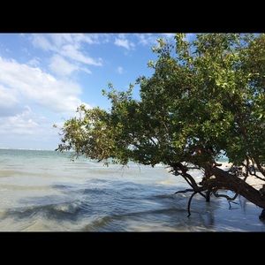 Meet your Posher, Carolyn