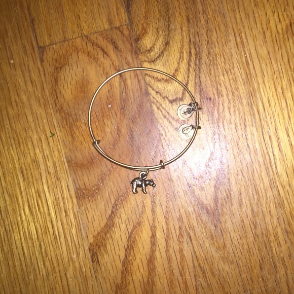 Alex and Ani