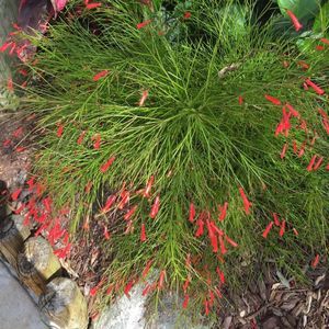 Meet your Posher, Wendi